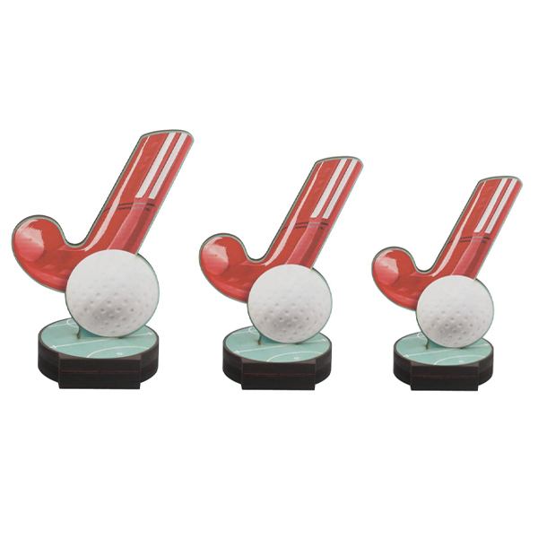 FW design field hockey - Image 2