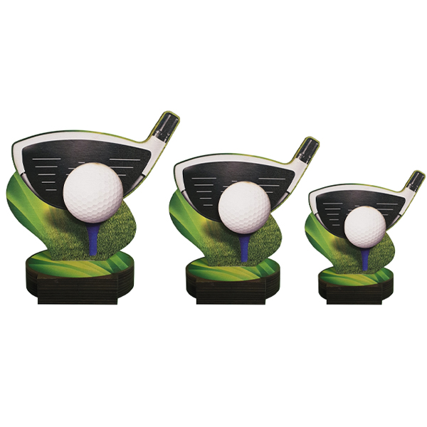FW design golf driver - Image 2